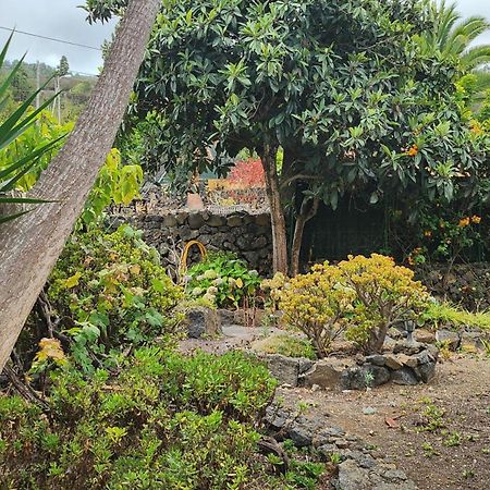 Oasis Hill Botanical Garden Villa Icod De Los Vinos Ngoại thất bức ảnh