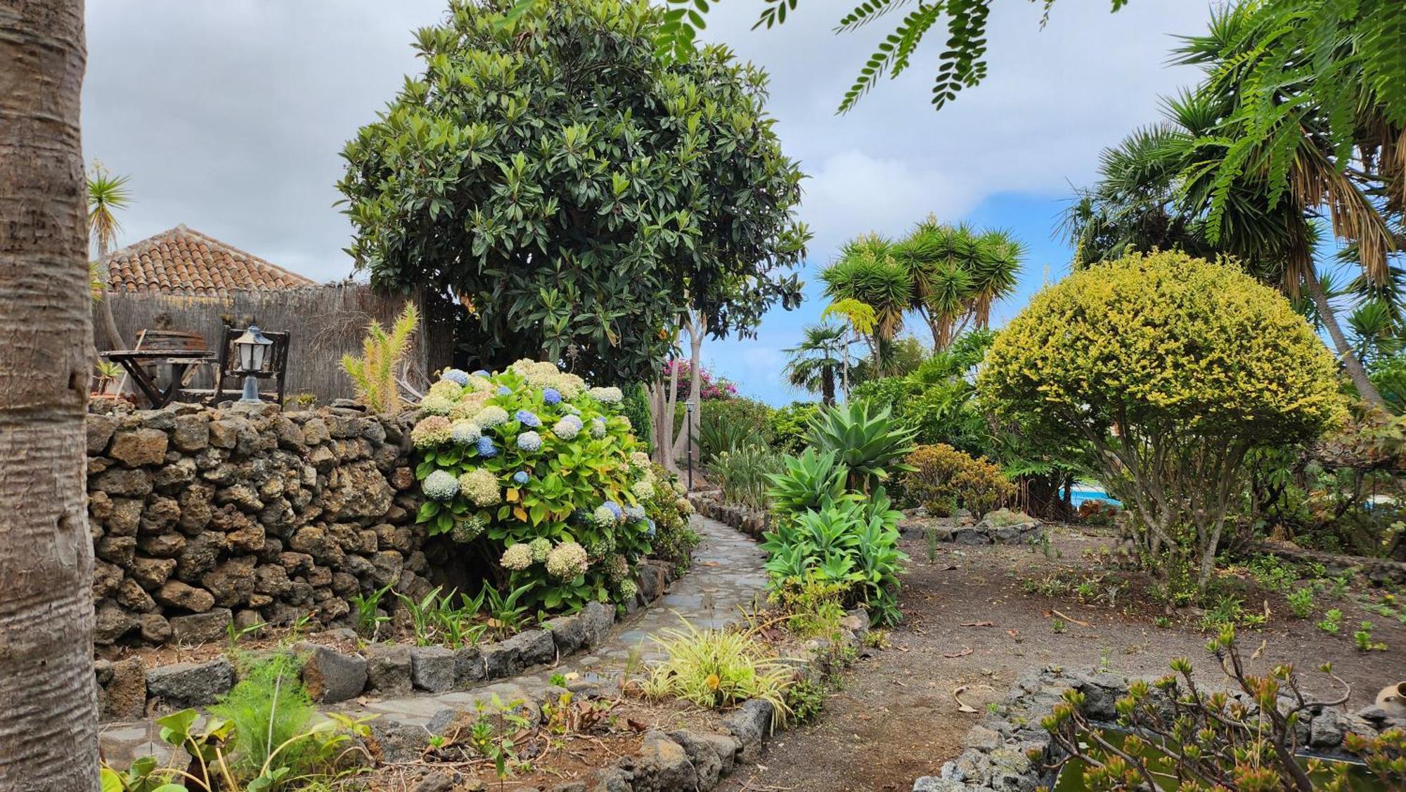 Oasis Hill Botanical Garden Villa Icod De Los Vinos Ngoại thất bức ảnh