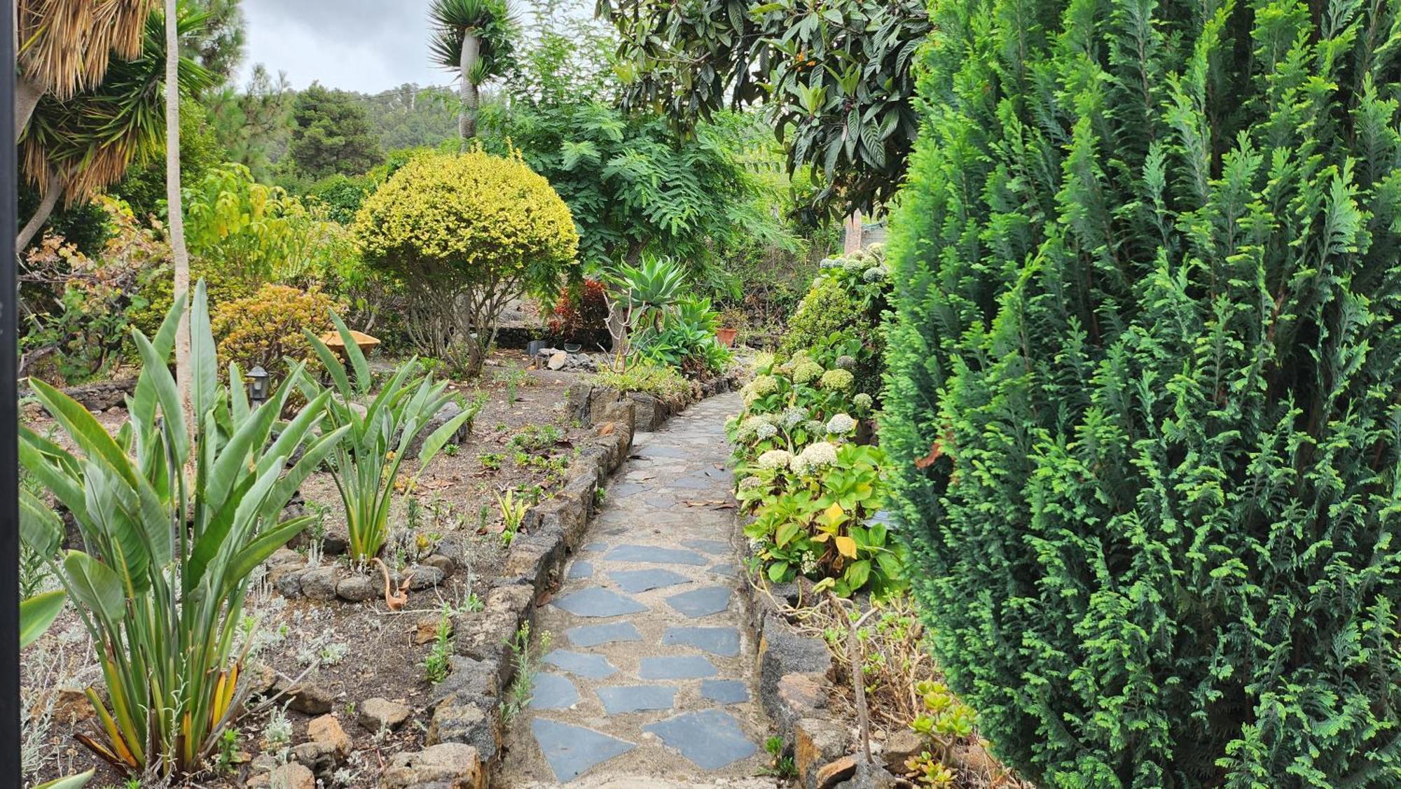 Oasis Hill Botanical Garden Villa Icod De Los Vinos Ngoại thất bức ảnh