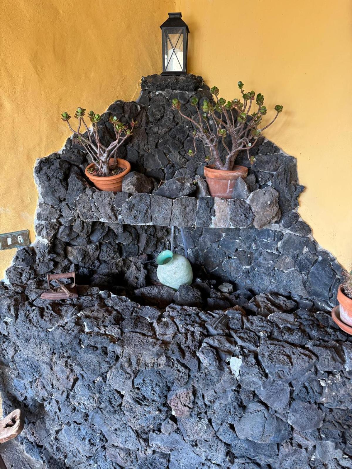 Oasis Hill Botanical Garden Villa Icod De Los Vinos Ngoại thất bức ảnh