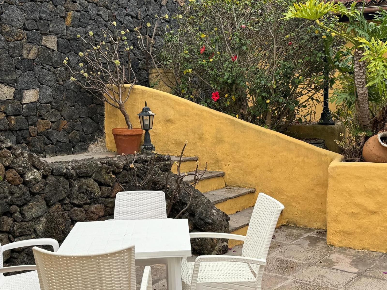 Oasis Hill Botanical Garden Villa Icod De Los Vinos Ngoại thất bức ảnh