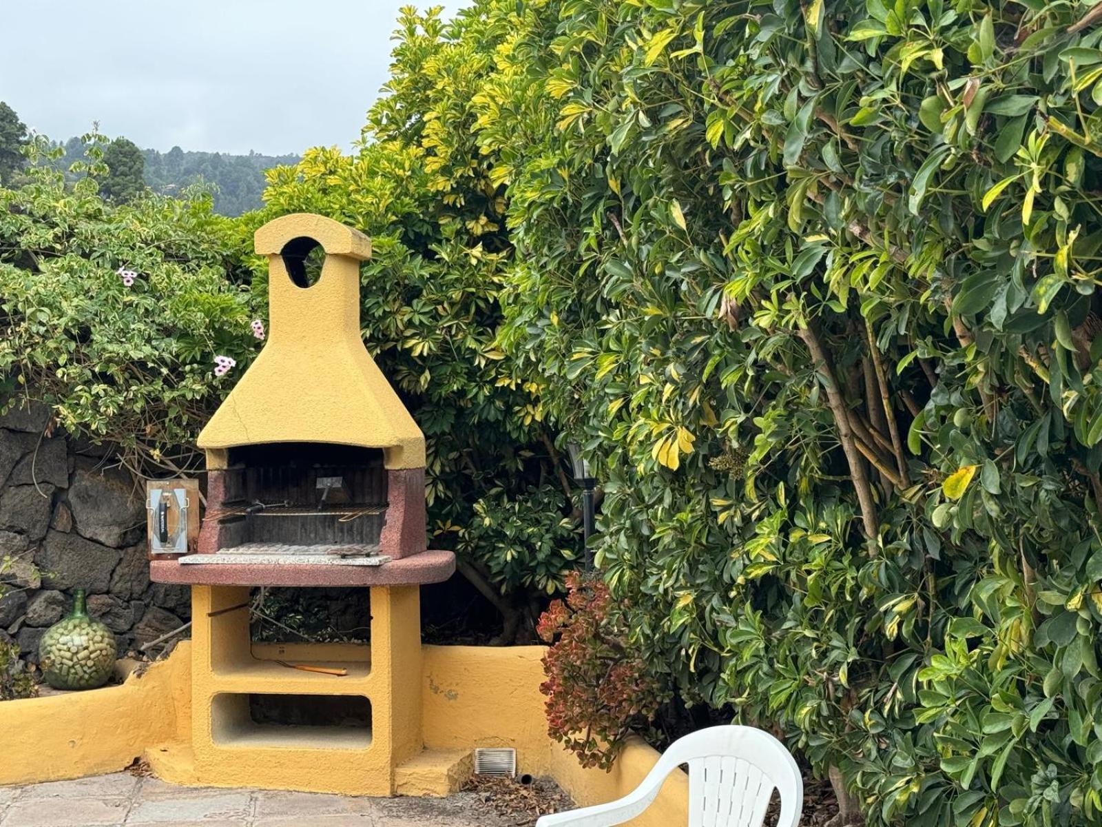 Oasis Hill Botanical Garden Villa Icod De Los Vinos Ngoại thất bức ảnh