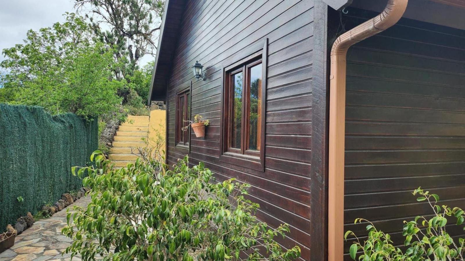 Oasis Hill Botanical Garden Villa Icod De Los Vinos Ngoại thất bức ảnh